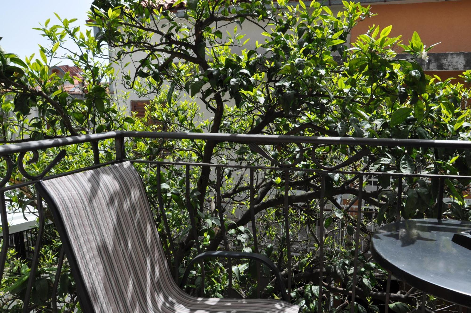 Guest House Damjana Budva Exterior foto